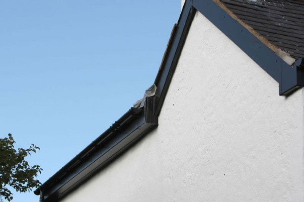 Black fascia boards