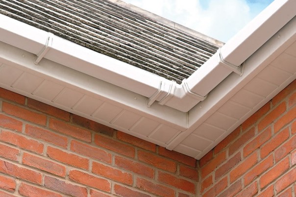 Roof corner with white soffits